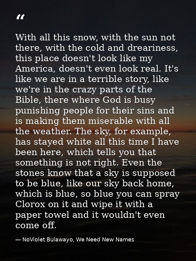 With all this snow, with the sun not there, with the cold and dreariness, this place doesn't look like my America, doesn — NoViolet Bulawayo, We Need New Names