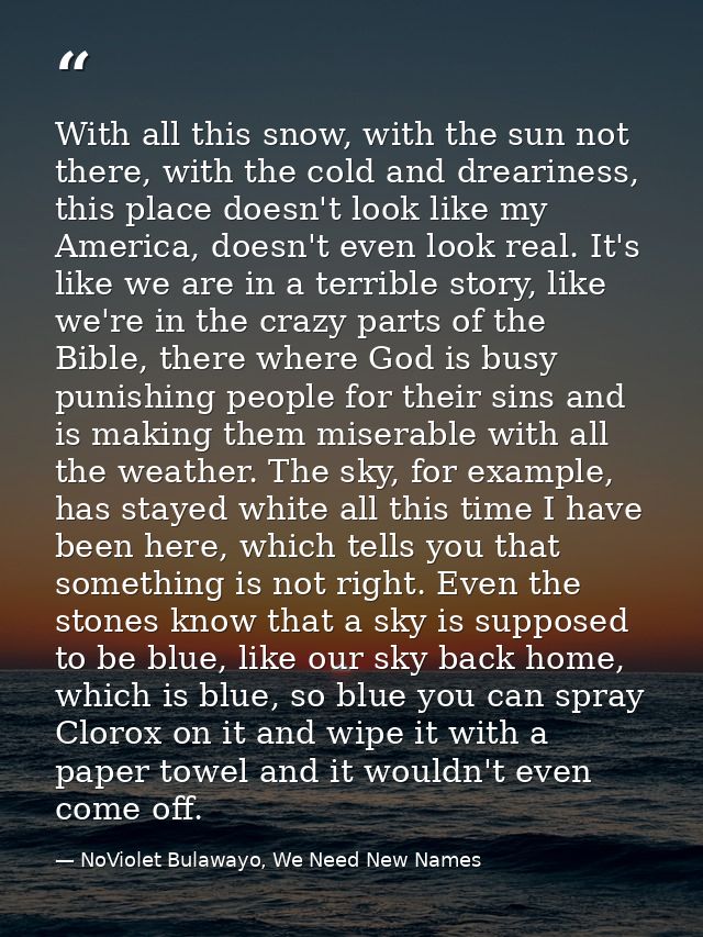 With all this snow, with the sun not there, with the cold and dreariness, this place doesn't look like my America, doesn — NoViolet Bulawayo, We Need New Names