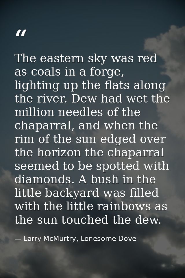 The eastern sky was red as coals in a forge, lighting up the flats along the river. Dew had wet the million needles of t — Larry McMurtry, Lonesome Dove