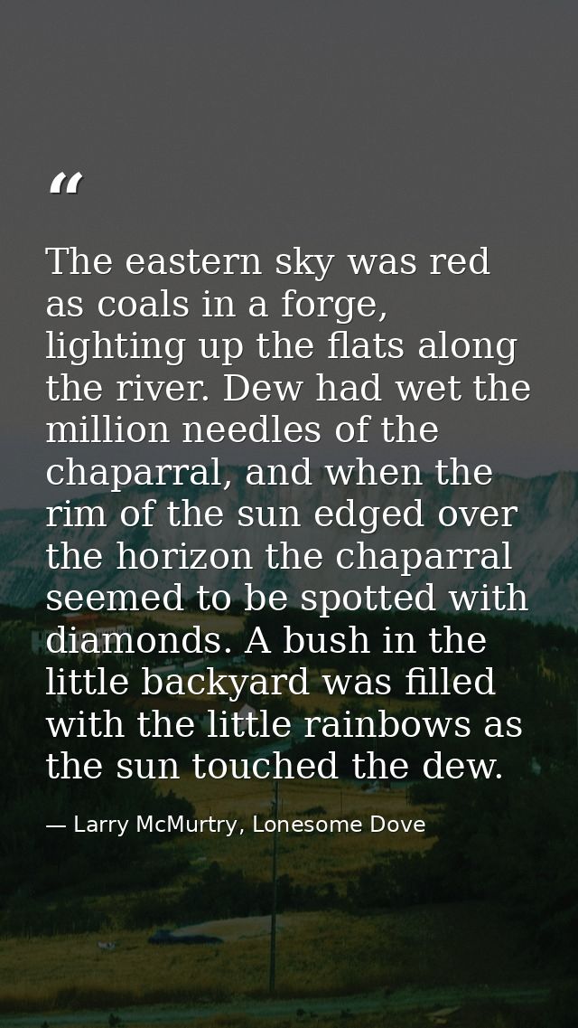 The eastern sky was red as coals in a forge, lighting up the flats along the river. Dew had wet the million needles of t — Larry McMurtry, Lonesome Dove