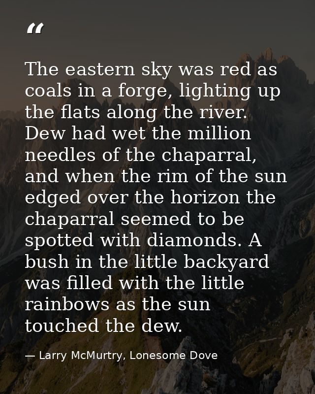 The eastern sky was red as coals in a forge, lighting up the flats along the river. Dew had wet the million needles of t — Larry McMurtry, Lonesome Dove
