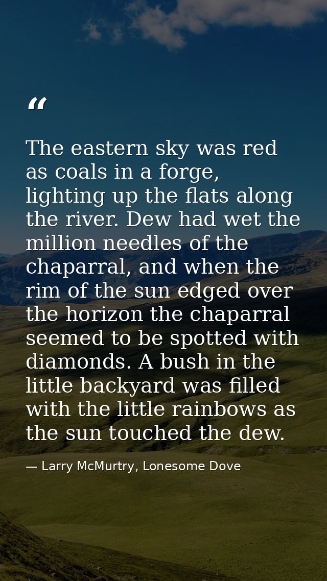 The eastern sky was red as coals in a forge, lighting up the flats along the river. Dew had wet the million needles of t — Larry McMurtry, Lonesome Dove