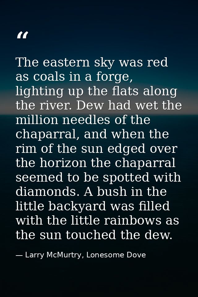 The eastern sky was red as coals in a forge, lighting up the flats along the river. Dew had wet the million needles of t — Larry McMurtry, Lonesome Dove