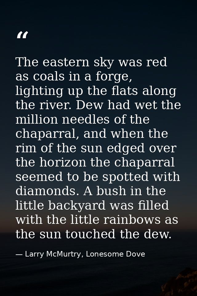 The eastern sky was red as coals in a forge, lighting up the flats along the river. Dew had wet the million needles of t — Larry McMurtry, Lonesome Dove