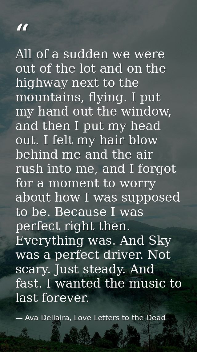 All of a sudden we were out of the lot and on the highway next to the mountains, flying. I put my hand out the window, a — Ava Dellaira, Love Letters to the Dead