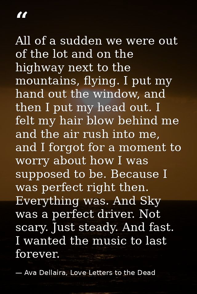 All of a sudden we were out of the lot and on the highway next to the mountains, flying. I put my hand out the window, a — Ava Dellaira, Love Letters to the Dead