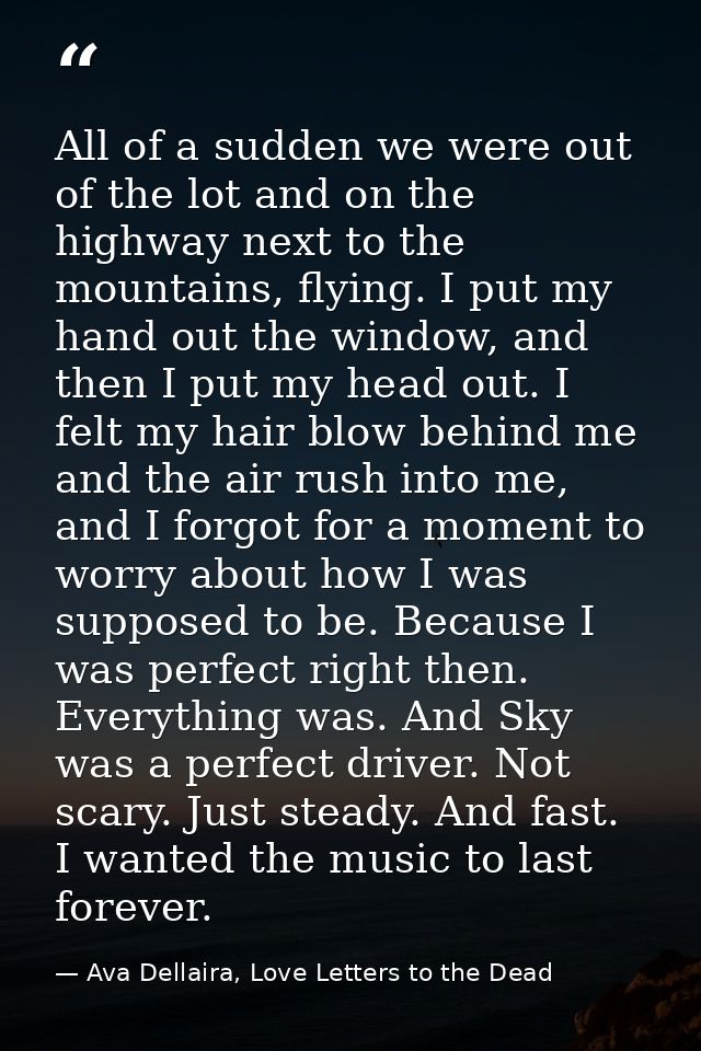 All of a sudden we were out of the lot and on the highway next to the mountains, flying. I put my hand out the window, a — Ava Dellaira, Love Letters to the Dead