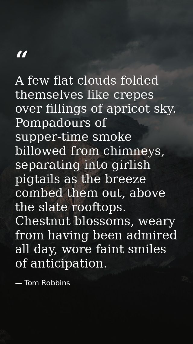 A few flat clouds folded themselves like crepes over fillings of apricot sky. Pompadours of supper-time smoke billowed f — Tom Robbins