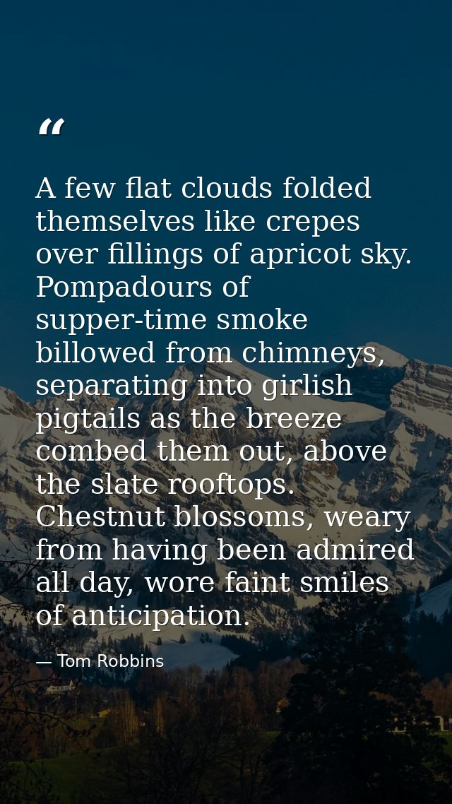 A few flat clouds folded themselves like crepes over fillings of apricot sky. Pompadours of supper-time smoke billowed f — Tom Robbins