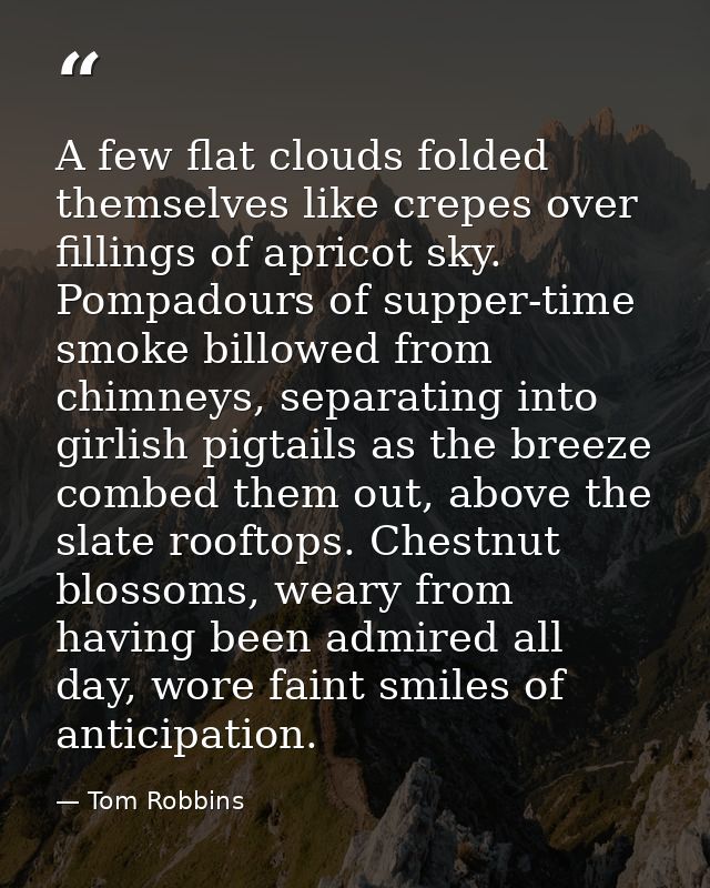 A few flat clouds folded themselves like crepes over fillings of apricot sky. Pompadours of supper-time smoke billowed f — Tom Robbins