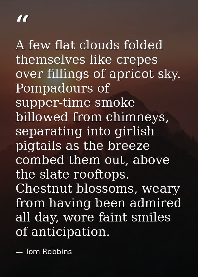 A few flat clouds folded themselves like crepes over fillings of apricot sky. Pompadours of supper-time smoke billowed f — Tom Robbins