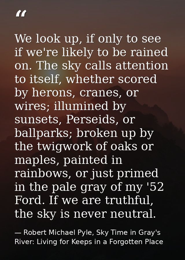 We look up, if only to see if we're likely to be rained on. The sky calls attention to itself, whether scored by herons, — Robert Michael Pyle, Sky Time in Gray's River: Living for Keeps in a Forgotten Place