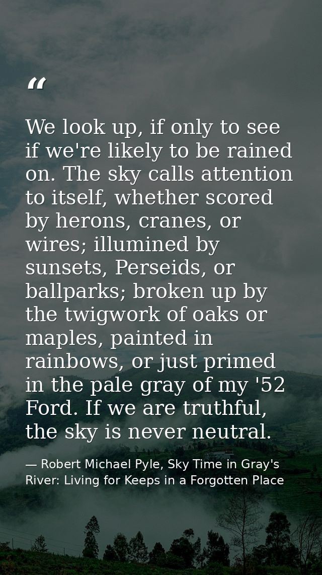 We look up, if only to see if we're likely to be rained on. The sky calls attention to itself, whether scored by herons, — Robert Michael Pyle, Sky Time in Gray's River: Living for Keeps in a Forgotten Place