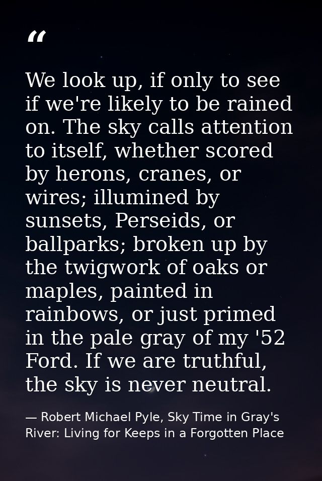 We look up, if only to see if we're likely to be rained on. The sky calls attention to itself, whether scored by herons, — Robert Michael Pyle, Sky Time in Gray's River: Living for Keeps in a Forgotten Place