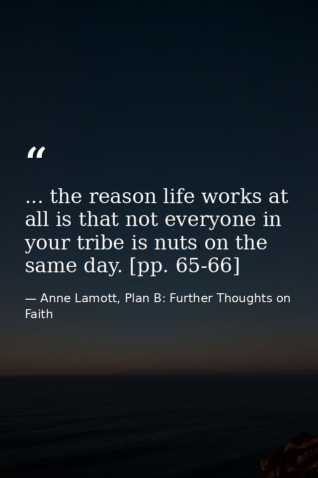 ... the reason life works at all is that not everyone in your tribe is nuts on the same day. [pp. 65-66] — Anne Lamott, Plan B: Further Thoughts on Faith
