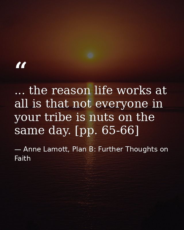 ... the reason life works at all is that not everyone in your tribe is nuts on the same day. [pp. 65-66] — Anne Lamott, Plan B: Further Thoughts on Faith