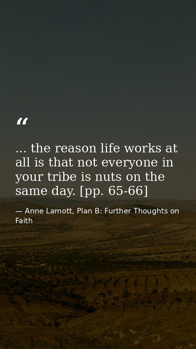 ... the reason life works at all is that not everyone in your tribe is nuts on the same day. [pp. 65-66] — Anne Lamott, Plan B: Further Thoughts on Faith