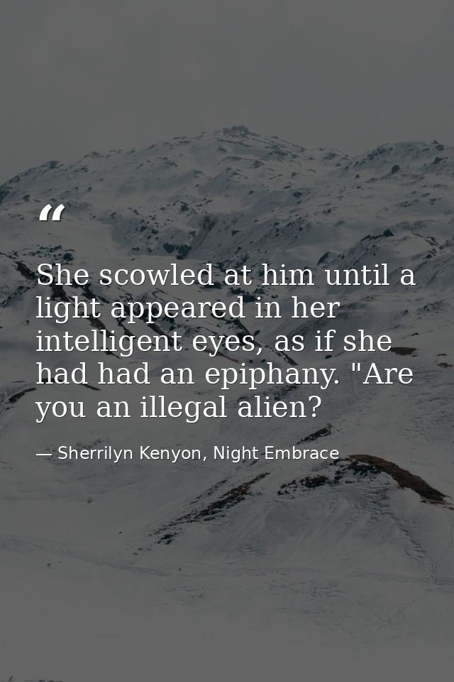 She scowled at him until a light appeared in her intelligent eyes, as if she had had an epiphany. "Are you an illegal al — Sherrilyn Kenyon, Night Embrace
