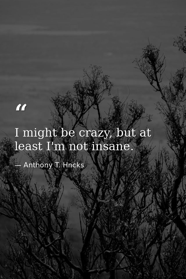 I might be crazy, but at least I'm not insane. — Anthony T. Hncks