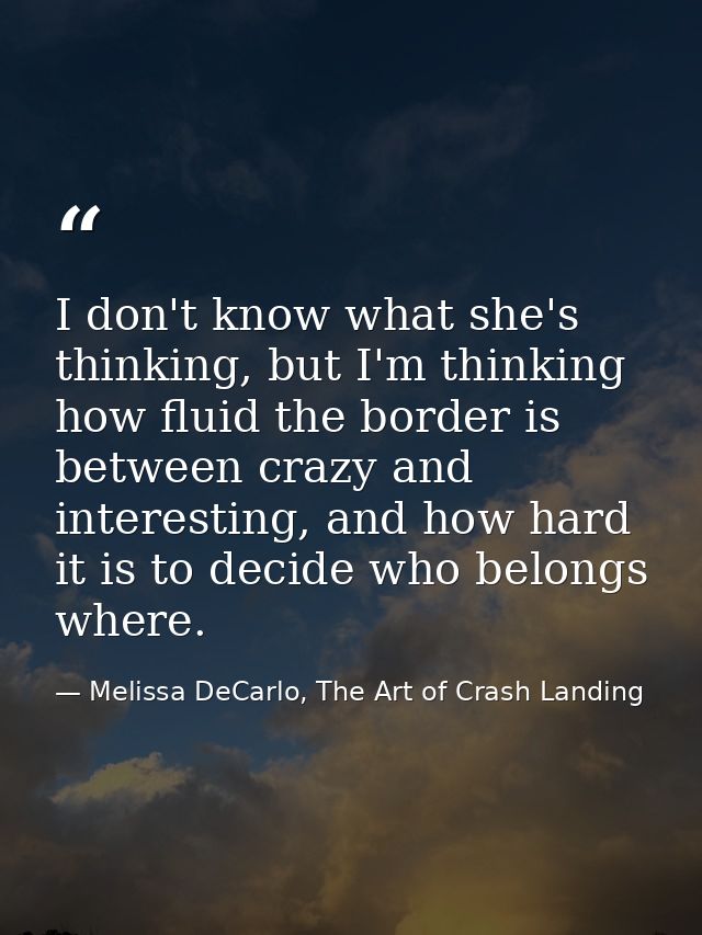 I don't know what she's thinking, but I'm thinking how fluid the border is between crazy and interesting, and how hard i — Melissa DeCarlo, The Art of Crash Landing