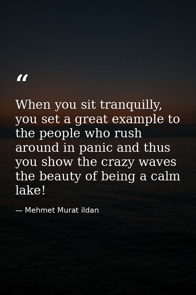 When you sit tranquilly, you set a great example to the people who rush around in panic and thus you show the crazy wave — Mehmet Murat ildan