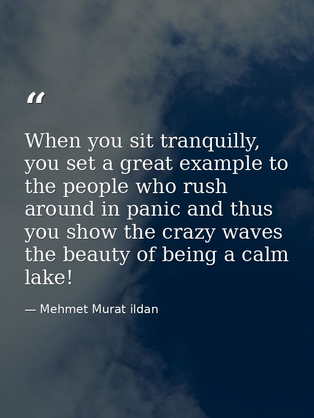 When you sit tranquilly, you set a great example to the people who rush around in panic and thus you show the crazy wave — Mehmet Murat ildan