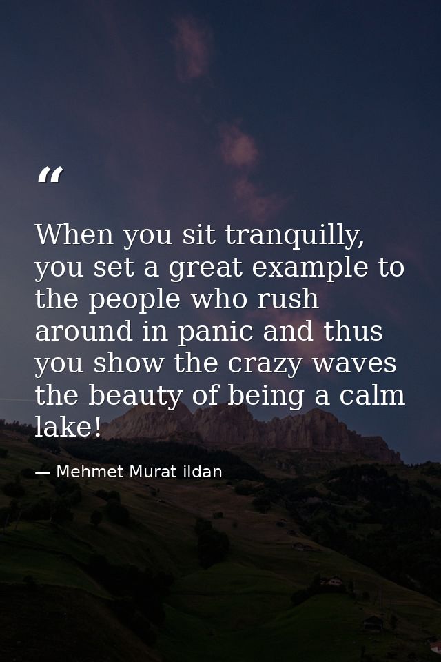 When you sit tranquilly, you set a great example to the people who rush around in panic and thus you show the crazy wave — Mehmet Murat ildan