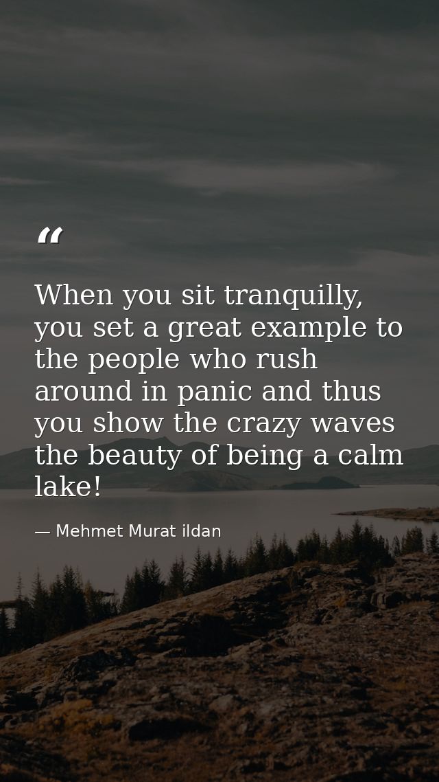 When you sit tranquilly, you set a great example to the people who rush around in panic and thus you show the crazy wave — Mehmet Murat ildan