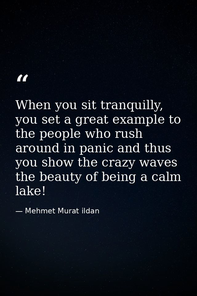When you sit tranquilly, you set a great example to the people who rush around in panic and thus you show the crazy wave — Mehmet Murat ildan