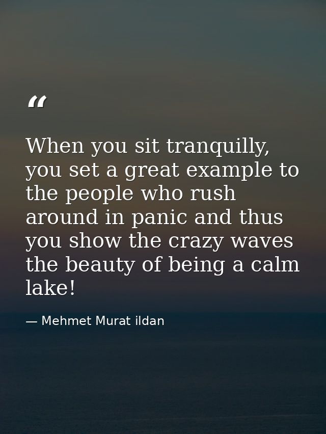 When you sit tranquilly, you set a great example to the people who rush around in panic and thus you show the crazy wave — Mehmet Murat ildan