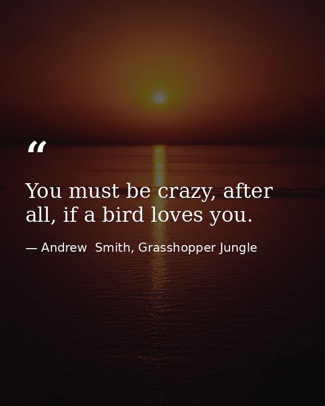You must be crazy, after all, if a bird loves you. — Andrew  Smith, Grasshopper Jungle