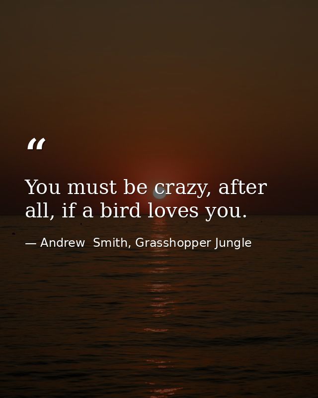 You must be crazy, after all, if a bird loves you. — Andrew  Smith, Grasshopper Jungle