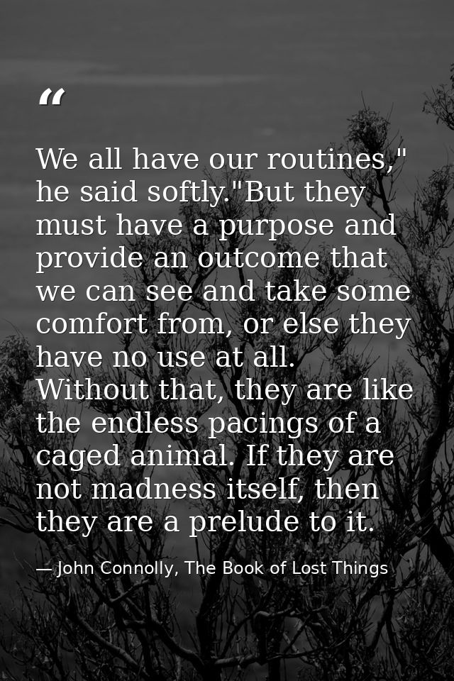 We all have our routines," he said softly."But they must have a purpose and provide an outcome that we can see and take  — John Connolly, The Book of Lost Things