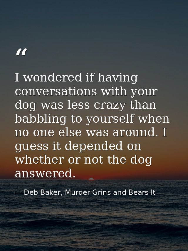 I wondered if having conversations with your dog was less crazy than babbling to yourself when no one else was around. I — Deb Baker, Murder Grins and Bears It