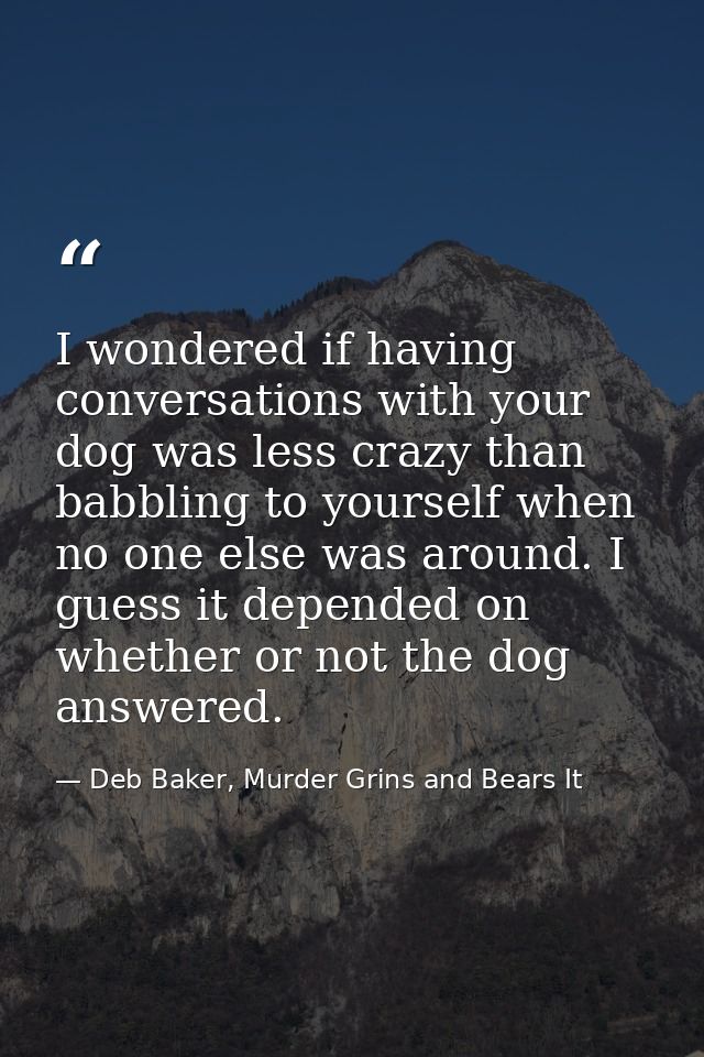 I wondered if having conversations with your dog was less crazy than babbling to yourself when no one else was around. I — Deb Baker, Murder Grins and Bears It