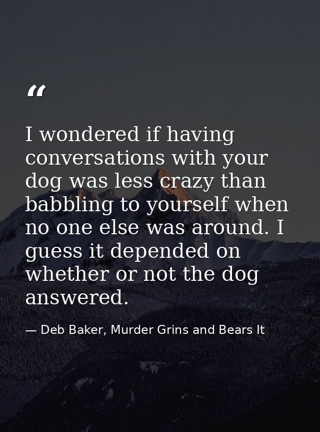 I wondered if having conversations with your dog was less crazy than babbling to yourself when no one else was around. I — Deb Baker, Murder Grins and Bears It