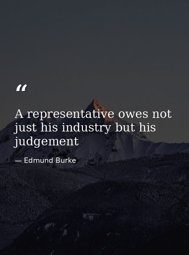 A representative owes not just his industry but his judgement — Edmund Burke