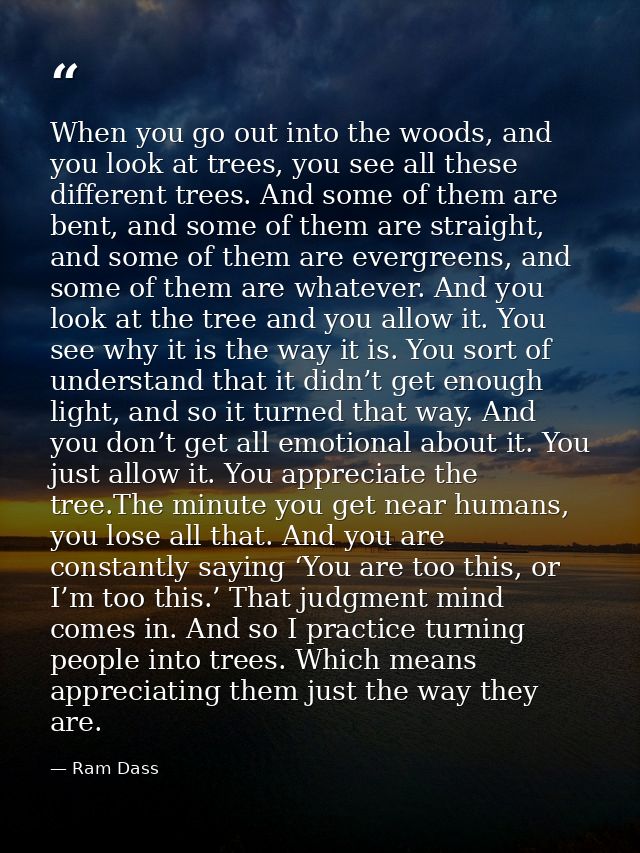 When you go out into the woods, and you look at trees, you see all these different trees. And some of them are bent, and — Ram Dass