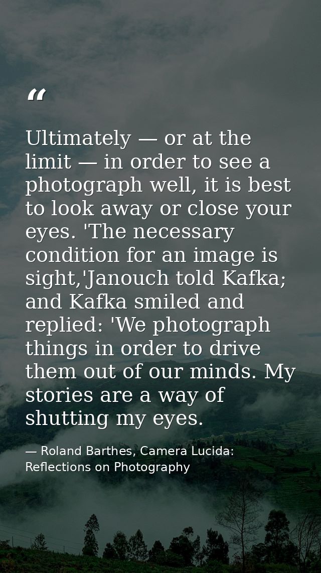 Ultimately — or at the limit — in order to see a photograph well, it is best to look away or close your eyes. 'The neces — Roland Barthes, Camera Lucida: Reflections on Photography
