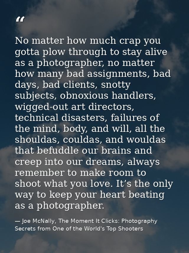 No matter how much crap you gotta plow through to stay alive as a photographer, no matter how many bad assignments, bad  — Joe McNally, The Moment It Clicks: Photography Secrets from One of the World's Top Shooters