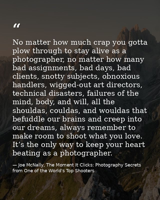 No matter how much crap you gotta plow through to stay alive as a photographer, no matter how many bad assignments, bad  — Joe McNally, The Moment It Clicks: Photography Secrets from One of the World's Top Shooters