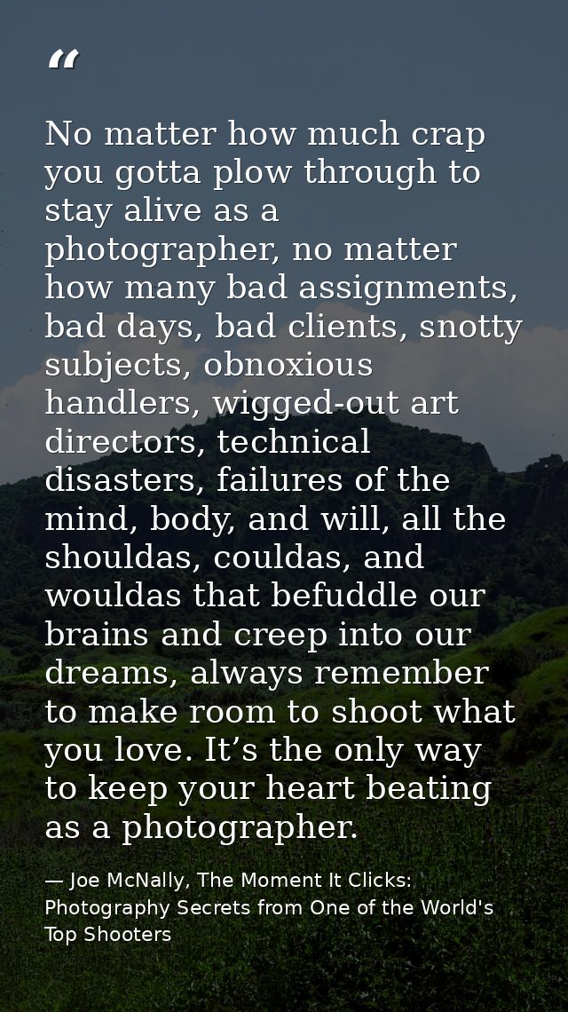 No matter how much crap you gotta plow through to stay alive as a photographer, no matter how many bad assignments, bad  — Joe McNally, The Moment It Clicks: Photography Secrets from One of the World's Top Shooters