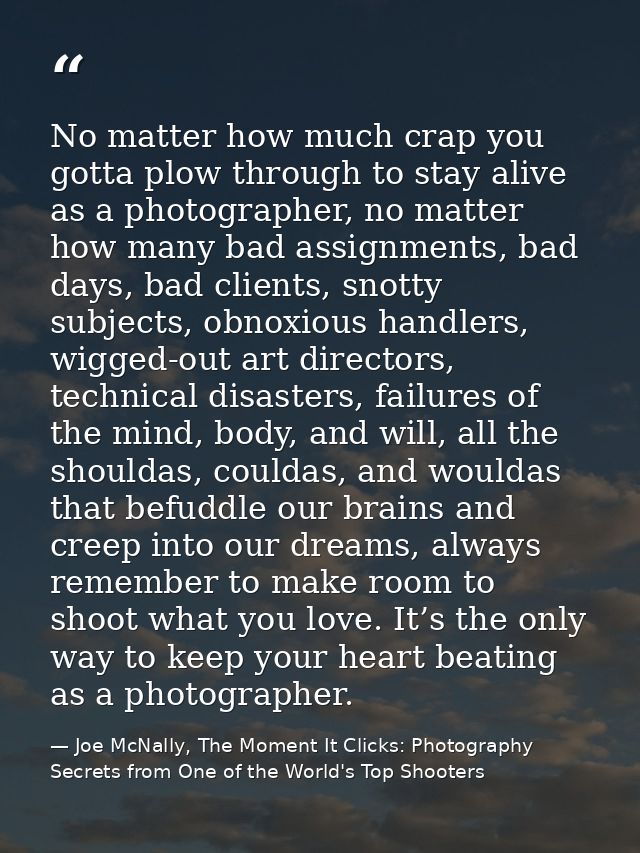 No matter how much crap you gotta plow through to stay alive as a photographer, no matter how many bad assignments, bad  — Joe McNally, The Moment It Clicks: Photography Secrets from One of the World's Top Shooters