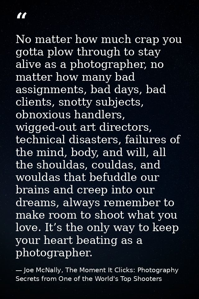 No matter how much crap you gotta plow through to stay alive as a photographer, no matter how many bad assignments, bad  — Joe McNally, The Moment It Clicks: Photography Secrets from One of the World's Top Shooters