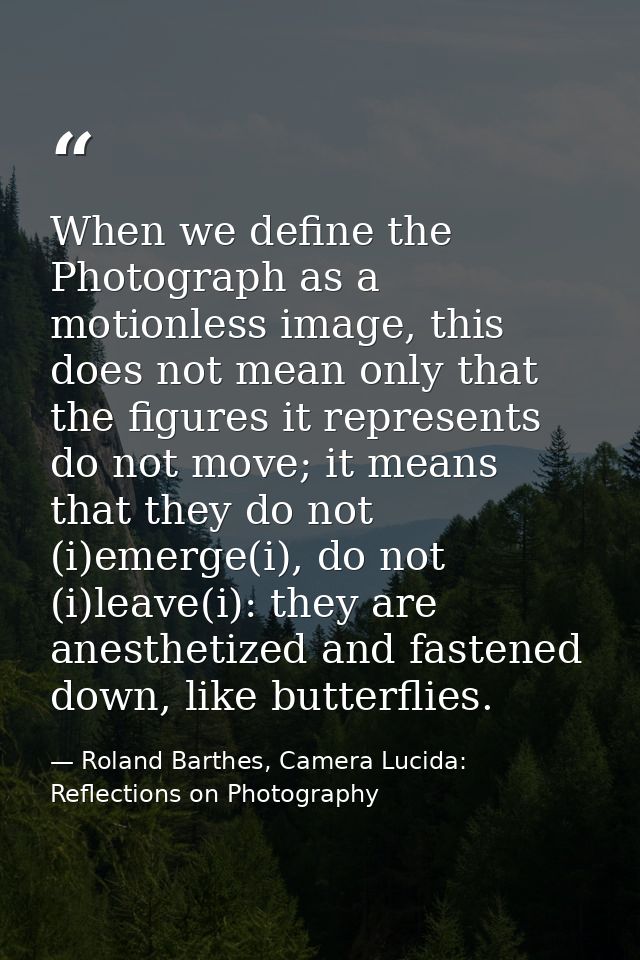 When we define the Photograph as a motionless image, this does not mean only that the figures it represents do not move; — Roland Barthes, Camera Lucida: Reflections on Photography