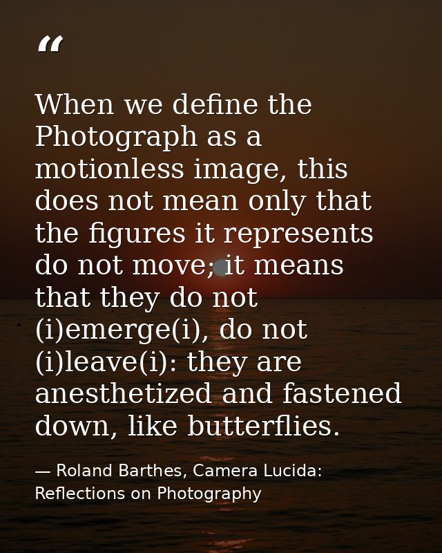 When we define the Photograph as a motionless image, this does not mean only that the figures it represents do not move; — Roland Barthes, Camera Lucida: Reflections on Photography