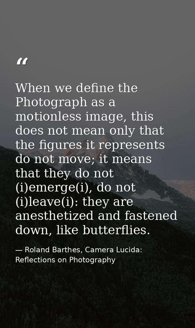 When we define the Photograph as a motionless image, this does not mean only that the figures it represents do not move; — Roland Barthes, Camera Lucida: Reflections on Photography