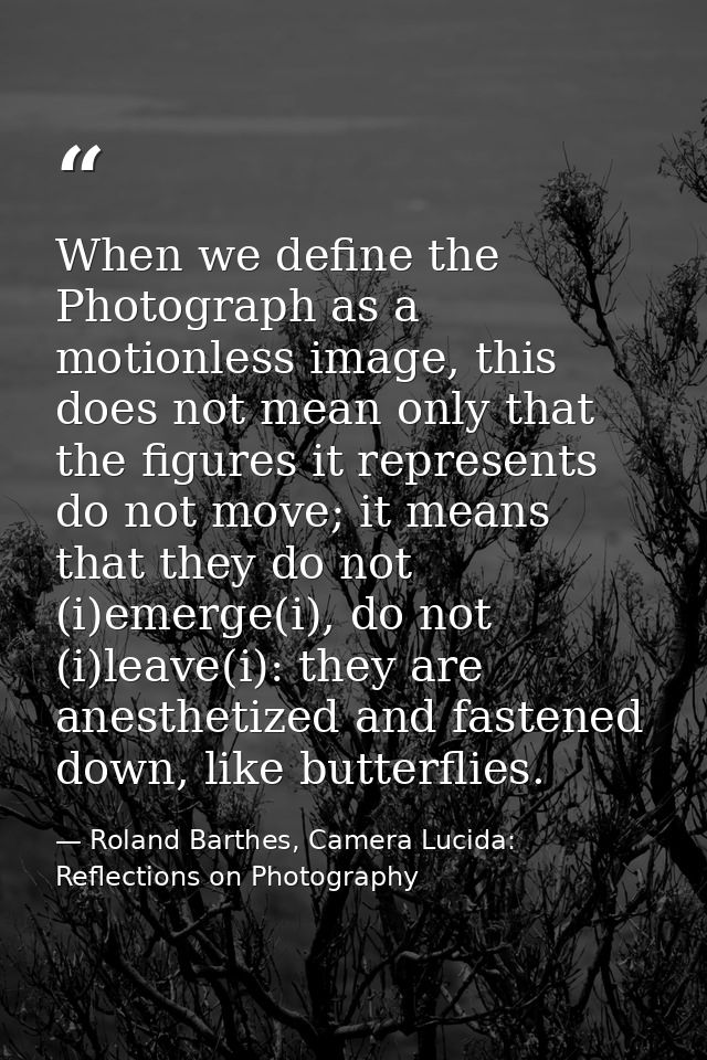 When we define the Photograph as a motionless image, this does not mean only that the figures it represents do not move; — Roland Barthes, Camera Lucida: Reflections on Photography