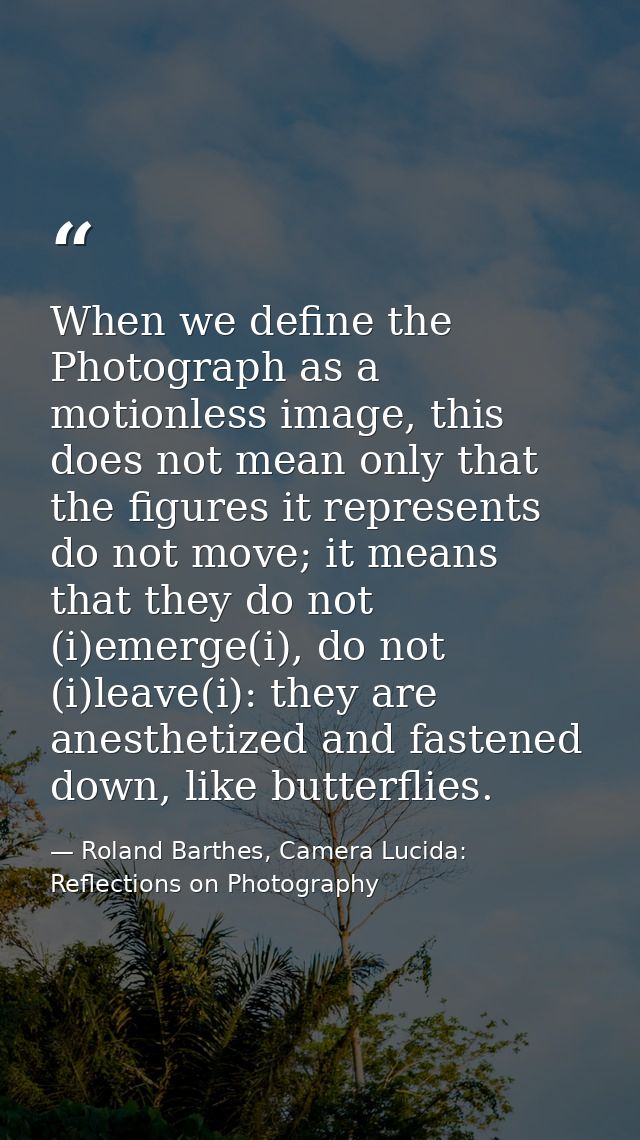 When we define the Photograph as a motionless image, this does not mean only that the figures it represents do not move; — Roland Barthes, Camera Lucida: Reflections on Photography