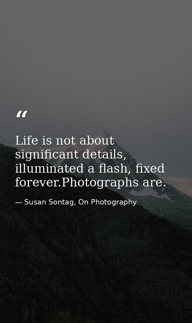 Life is not about significant details, illuminated a flash, fixed forever.Photographs are. — Susan Sontag, On Photography